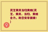 灵芝黄芪当归黄精(灵芝、黄芪、当归、黄精合力，助您安享健康！)