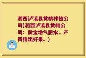 湘西泸溪县黄精种植公司(湘西泸溪县黄精公司：黄金地气肥水，产黄精出好果。)