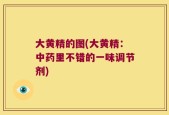 大黄精的图(大黄精：中药里不错的一味调节剂)