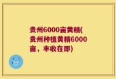 贵州6000亩黄精(贵州种植黄精6000亩，丰收在即)