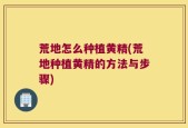 荒地怎么种植黄精(荒地种植黄精的方法与步骤)
