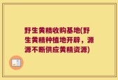野生黄精收购基地(野生黄精种植地开辟，源源不断供应黄精资源)