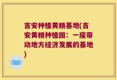 吉安种植黄精基地(吉安黄精种植园：一座带动地方经济发展的基地)