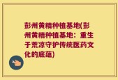 彭州黄精种植基地(彭州黄精种植基地：重生于荒凉守护传统医药文化的底蕴)