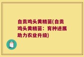 自贡鸡头黄精苗(自贡鸡头黄精苗：育种进展助力农业升级)