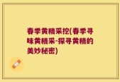 春季黄精采挖(春季寻味黄精采-探寻黄精的美妙秘密)