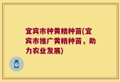 宜宾市种黄精种苗(宜宾市推广黄精种苗，助力农业发展)