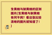 生黄精与制黄精的区别图片(生黄精与制黄精有何不同？看这张比较清晰的图片就知道了！)