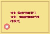 淳安 黄精种植(浙江淳安：黄精种植助力乡村振兴)