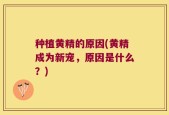 种植黄精的原因(黄精成为新宠，原因是什么？)
