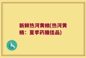 新鲜热河黄精(热河黄精：夏季药膳佳品)