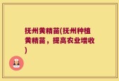 抚州黄精苗(抚州种植黄精苗，提高农业增收)