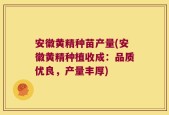 安徽黄精种苗产量(安徽黄精种植收成：品质优良，产量丰厚)
