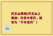 药王山黄精(药王山上黄精：珍贵中草药，被誉为“千年圣药”)