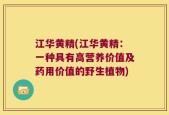 江华黄精(江华黄精：一种具有高营养价值及药用价值的野生植物)