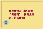 太原黄精苗(山西首推“黄精苗”：提高免疫力，抗击病毒)