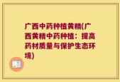 广西中药种植黄精(广西黄精中药种植：提高药材质量与保护生态环境)