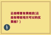 云南哪里有黄精卖(云南有哪些地方可以购买黄精？)