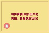城步黄精(城步出产的黄精，具有多重功效)