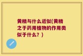 黄精与什么近似(黄精之于药用植物的作用类似于什么？)