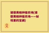 建德黄精种植农场(建德黄精种植农场——秘境里的宝藏)