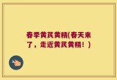 春季黄芪黄精(春天来了，走近黄芪黄精！)