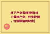 林下产业黄精视频(林下黄精产业：野生挖掘，价值翻倍的秘密)