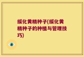 绥化黄精种子(绥化黄精种子的种植与管理技巧)