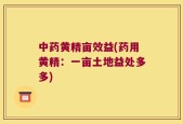 中药黄精亩效益(药用黄精：一亩土地益处多多)