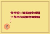 贵州铜仁滇黄精贵州铜仁发现珍稀植物滇黄精)