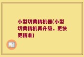小型切黄精机器(小型切黄精机再升级，更快更精准)