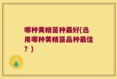 哪种黄精苗种最好(选用哪种黄精苗品种最佳？)