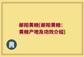郧阳黄精(郧阳黄精：黄精产地及功效介绍)