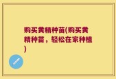 购买黄精种苗(购买黄精种苗，轻松在家种植)
