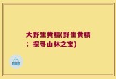 大野生黄精(野生黄精：探寻山林之宝)