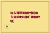 山东菏泽黄精种植(山东菏泽地区推广黄精种植)