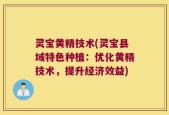 灵宝黄精技术(灵宝县域特色种植：优化黄精技术，提升经济效益)