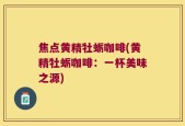 焦点黄精牡蛎咖啡(黄精牡蛎咖啡：一杯美味之源)