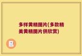 多样黄精图片(多款精美黄精图片供欣赏)