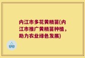 内江市多花黄精苗(内江市推广黄精苗种植，助力农业绿色发展)
