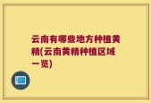 云南有哪些地方种植黄精(云南黄精种植区域一览)