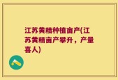 江苏黄精种植亩产(江苏黄精亩产攀升，产量喜人)