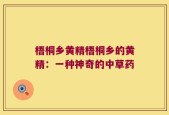 梧桐乡黄精梧桐乡的黄精：一种神奇的中草药