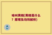 啥叫黄精(黄精是什么？原理及功效解析)