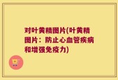 对叶黄精图片(叶黄精图片：防止心血管疾病和增强免疫力)