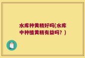 水库种黄精好吗(水库中种植黄精有益吗？)