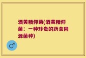酒黄精仰菌(酒黄精仰菌：一种珍贵的药食同源菌种)