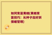 如何育苗黄精(黄精育苗技巧：从种子选好到保暖管理)