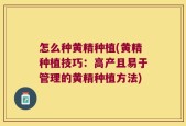 怎么种黄精种植(黄精种植技巧：高产且易于管理的黄精种植方法)