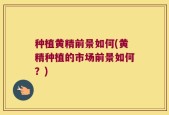 种植黄精前景如何(黄精种植的市场前景如何？)